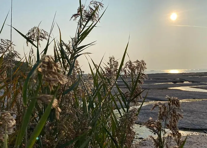 Indigo Eco Апартаменти Бардоліно