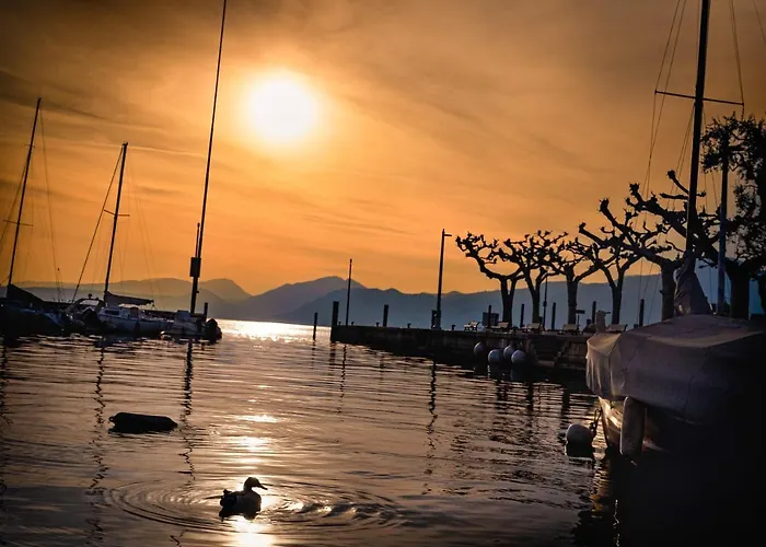 Indigo Eco Бардоліно