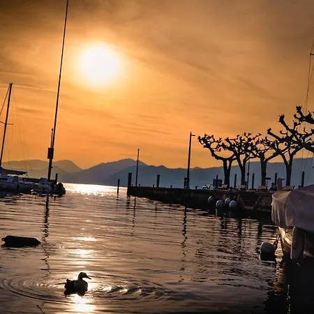 Indigo Eco 巴多利诺